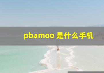 pbamoo 是什么手机